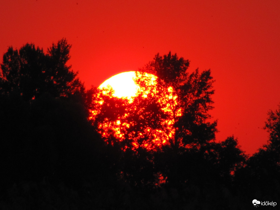 Bújkáló napkorong