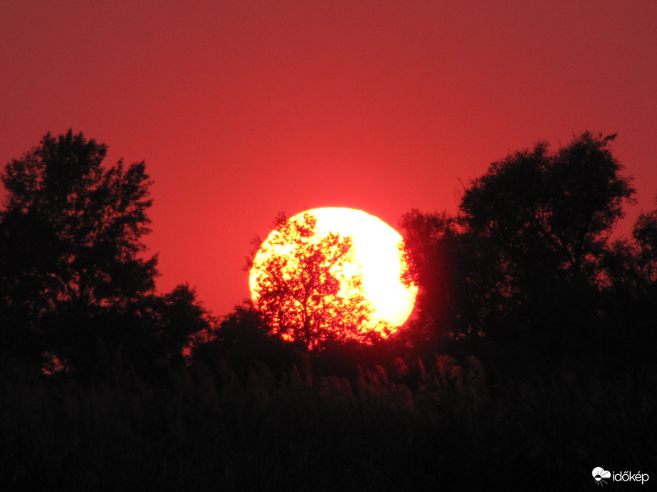 Bújkáló napkorong