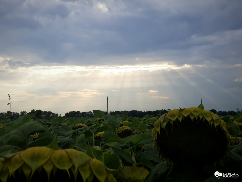 Kertek alatt a hidegfront!