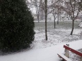 Szentes