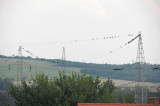 Gyülekeznek