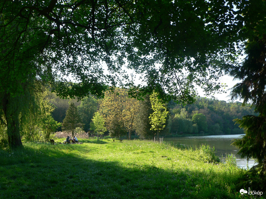 parkerdő 6 Malomvölgy