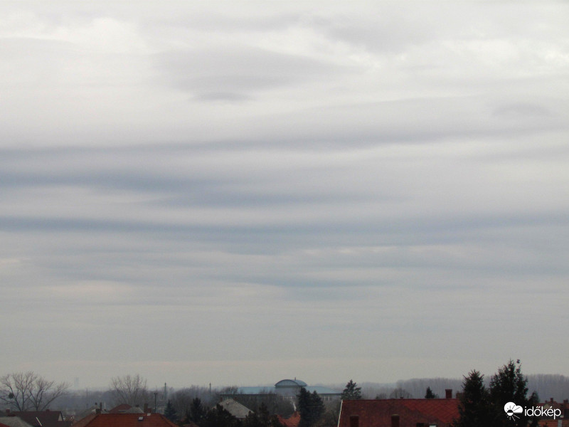 Rendeződés