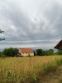 Tápiószele