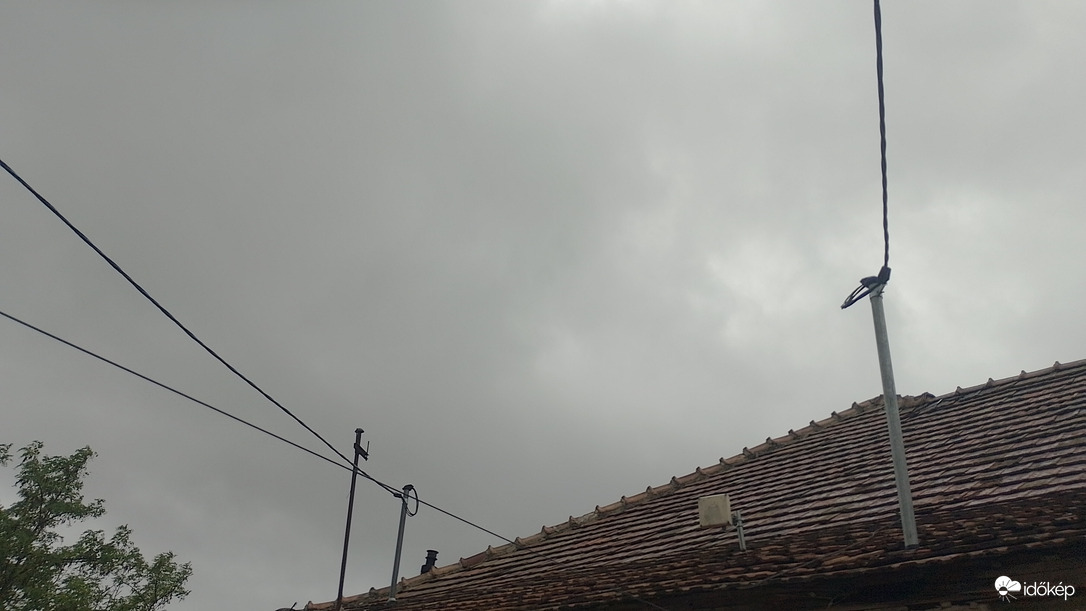 Szár