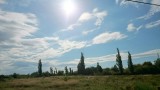 Tárnok