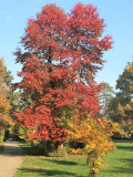 Az ősz színei