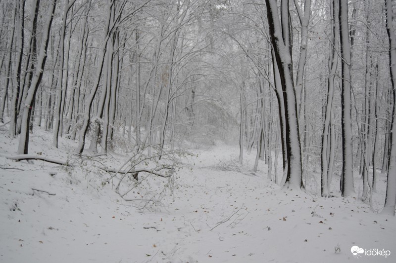 Novemberi tél