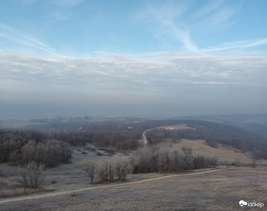 Frosty morning 