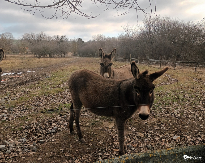 You really don't want to come in here