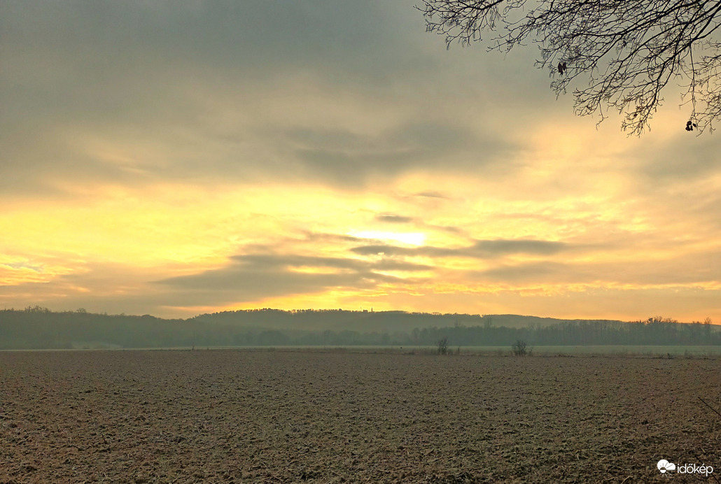 Golden skies