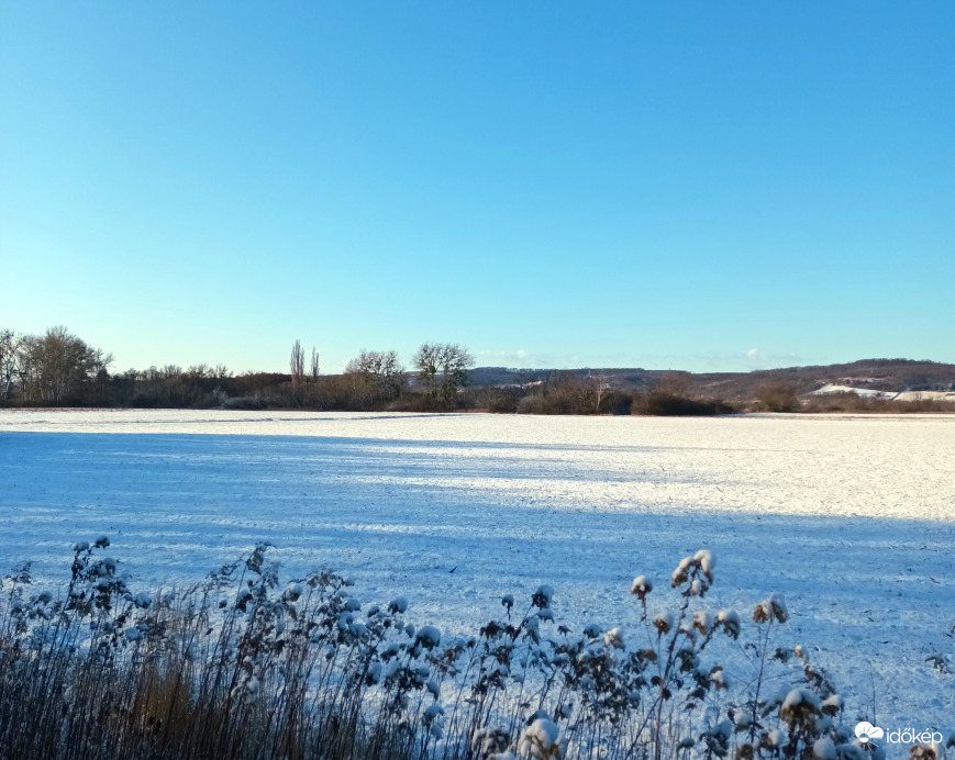 Fields of snow ❄ 