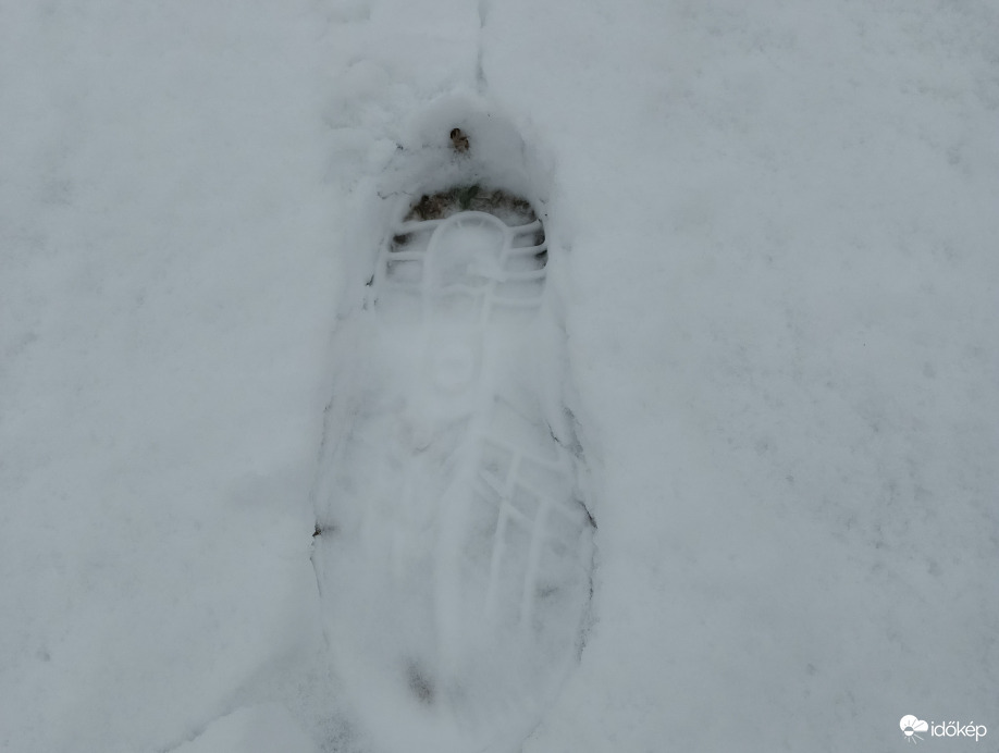 Snow prints