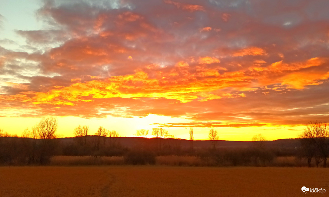 Golden skies