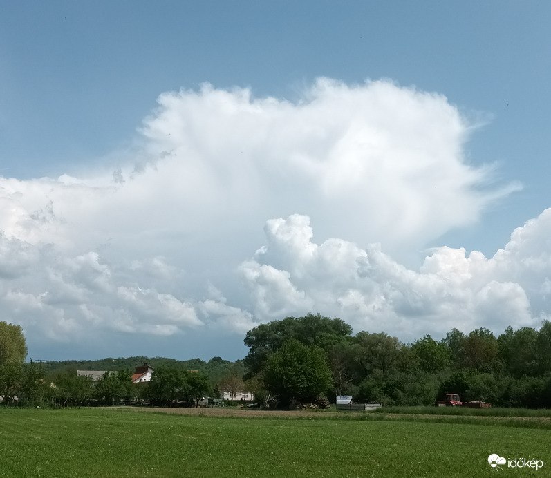 Towering cumulus 