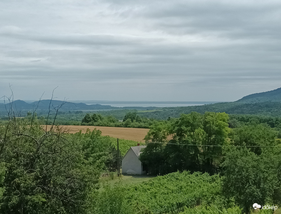 Lookout view 