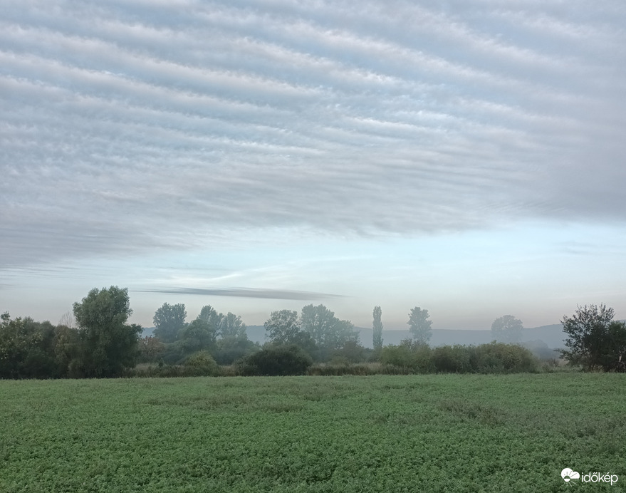 Misty morning 