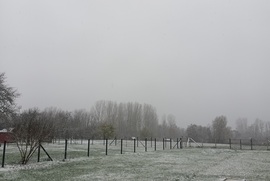 Snow in Zala 