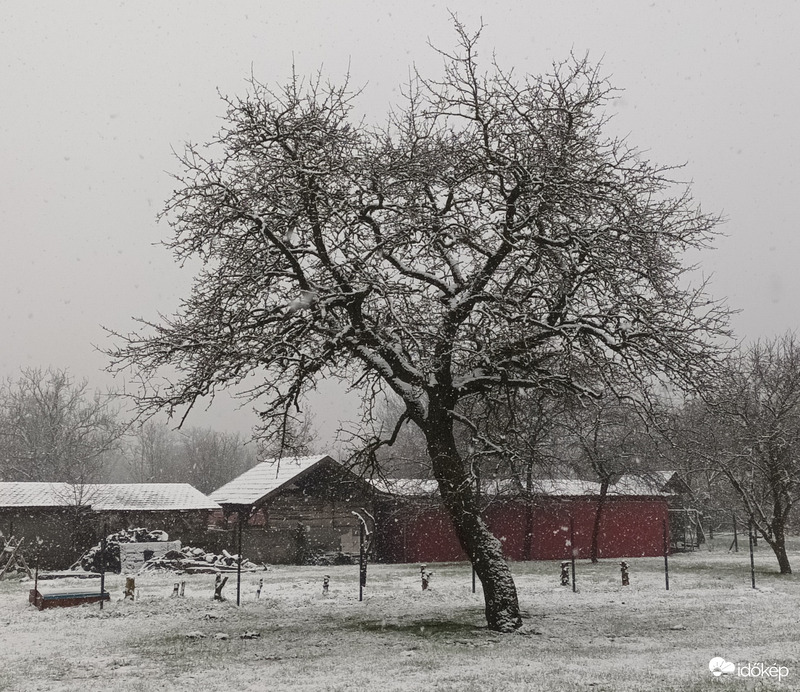 A wintry scene 