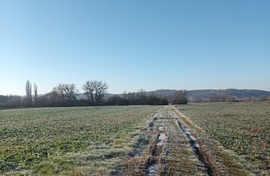 Along frozen paths