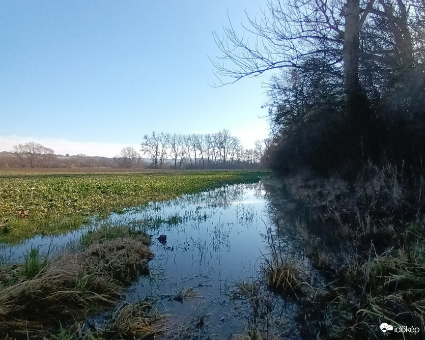 Fields of water 