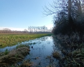 Fields of water 