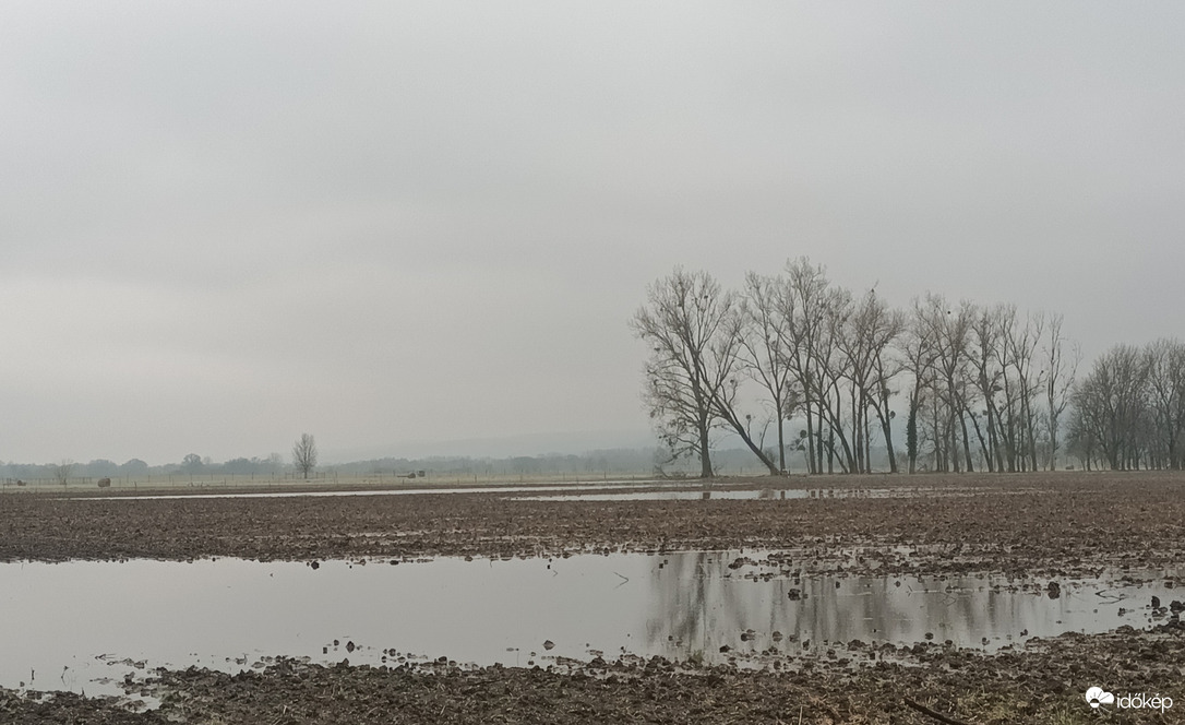 Flooded fields 