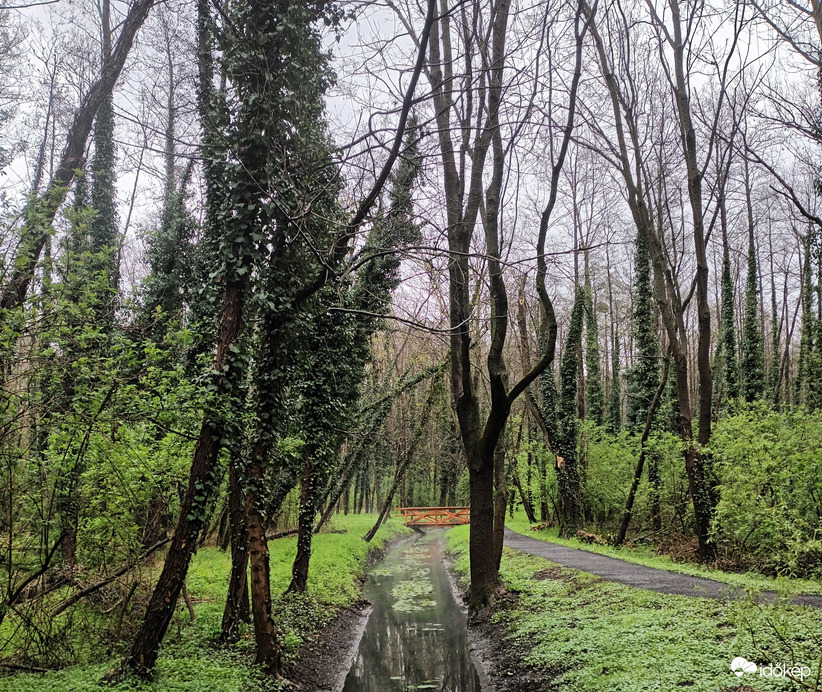 Treescape 