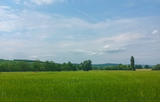 Vindomyafok 