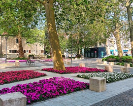 Garden of Heviz 