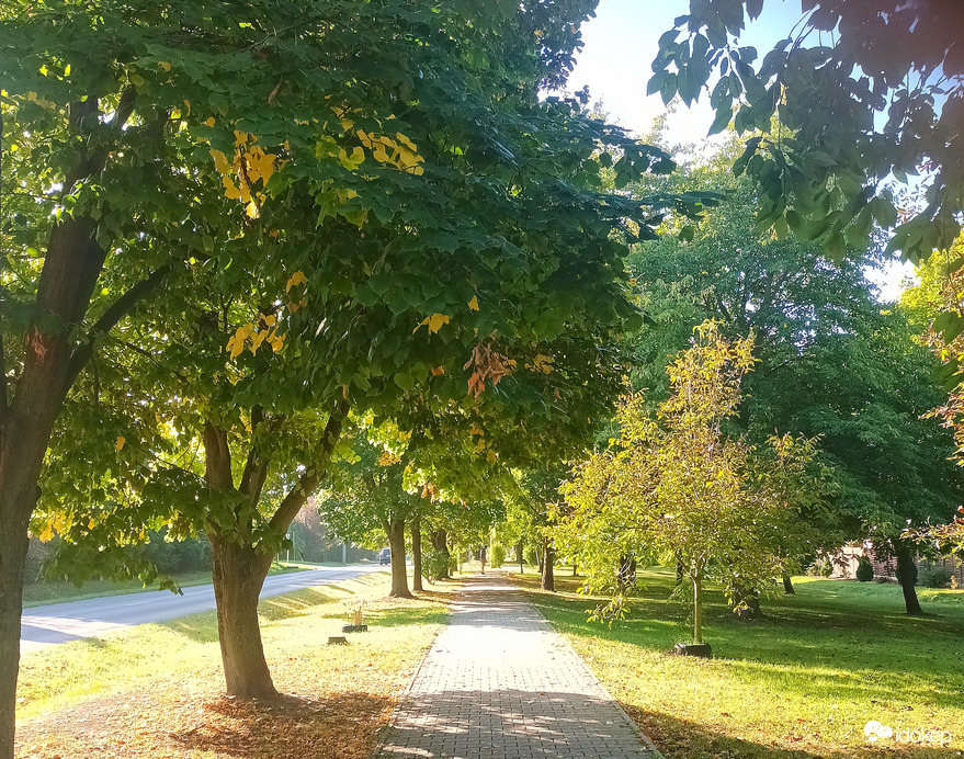 Colours of Autumn 