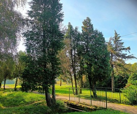 Little Bridge 