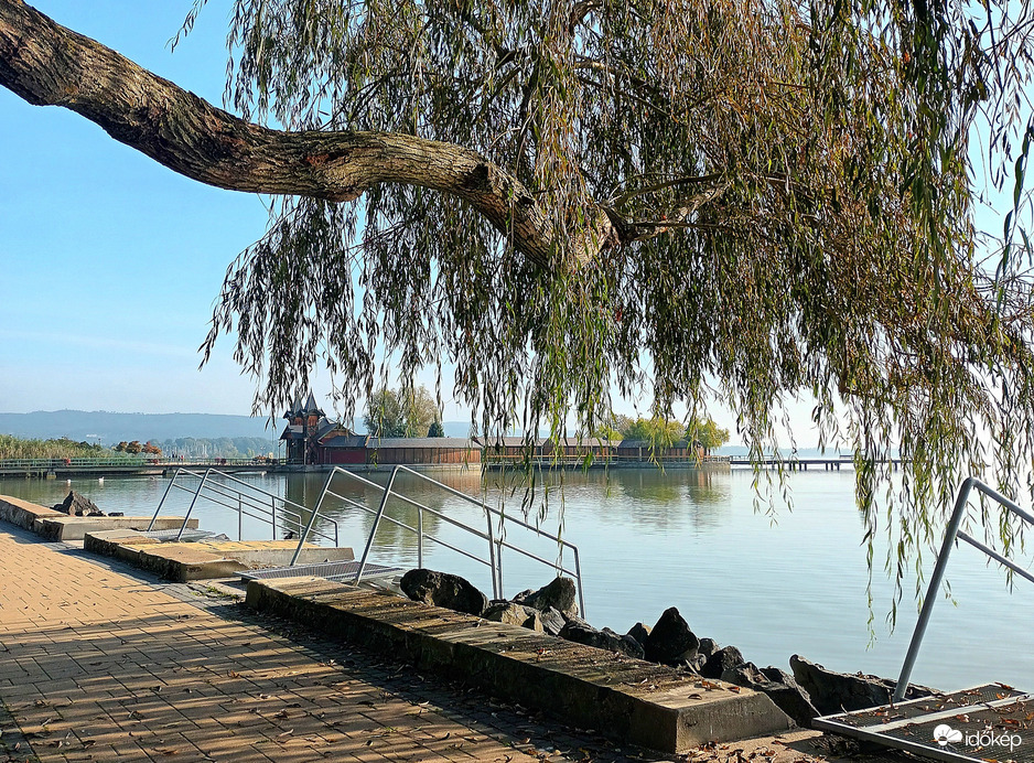 Weeping willow 