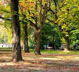 Helikon Park 