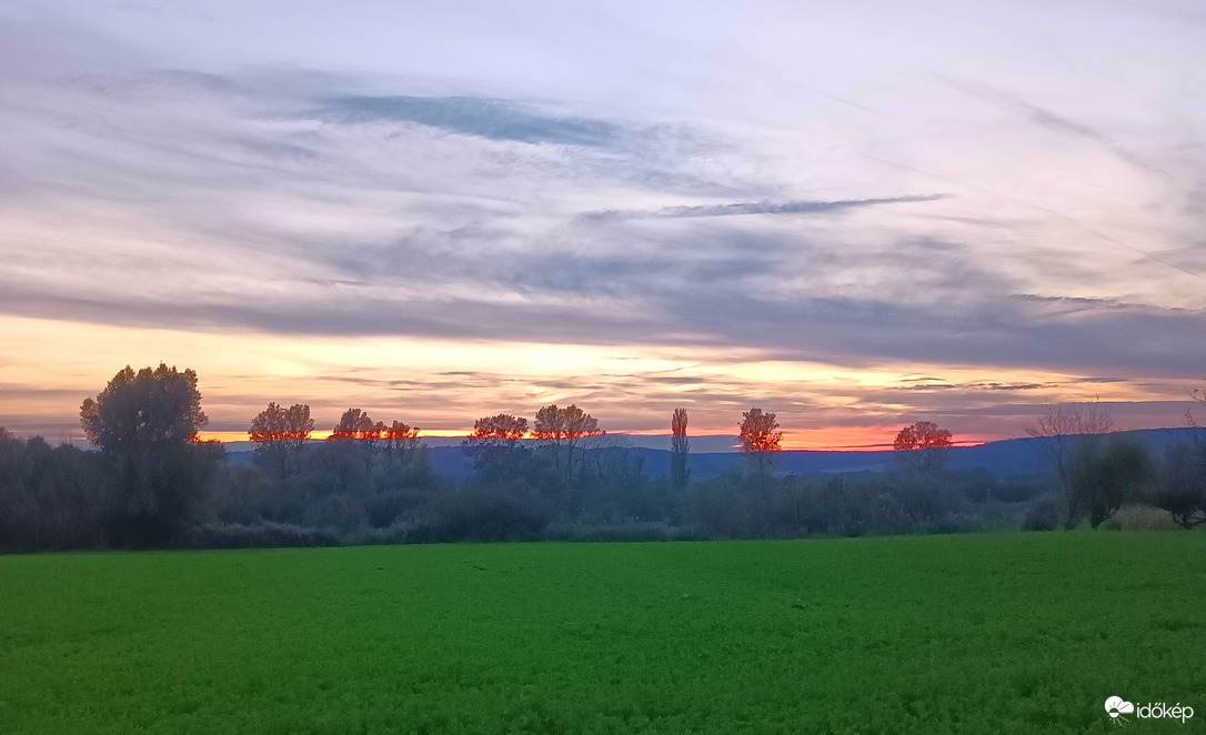 Dusk calls