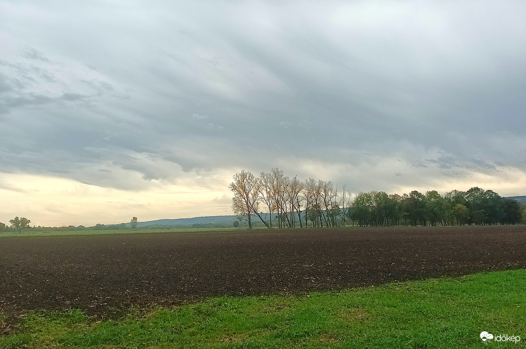 Grey skies 