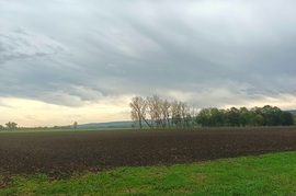 Grey skies 