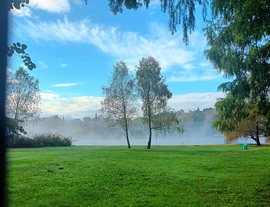 Lake mist