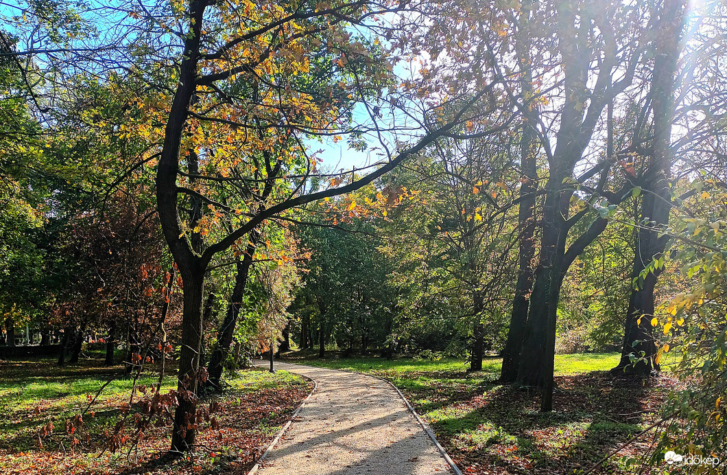 Leaves are falling 