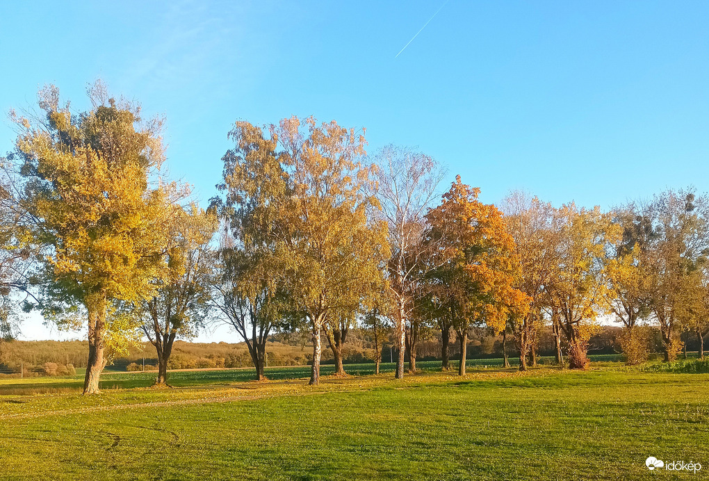 Colours of Autumn 