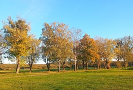 Colours of Autumn 