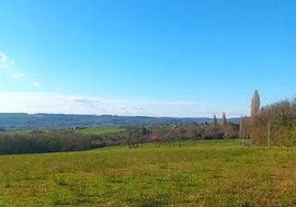 Nemesbuk hill 