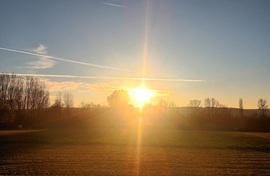 Evening calls 