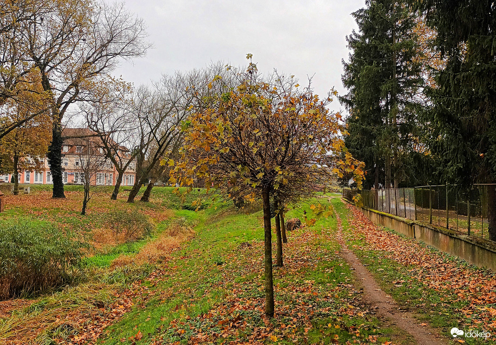 Autumnal day
