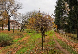Autumnal day