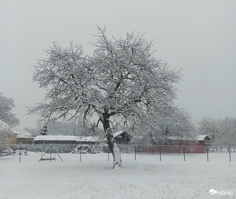 Winter arrives 