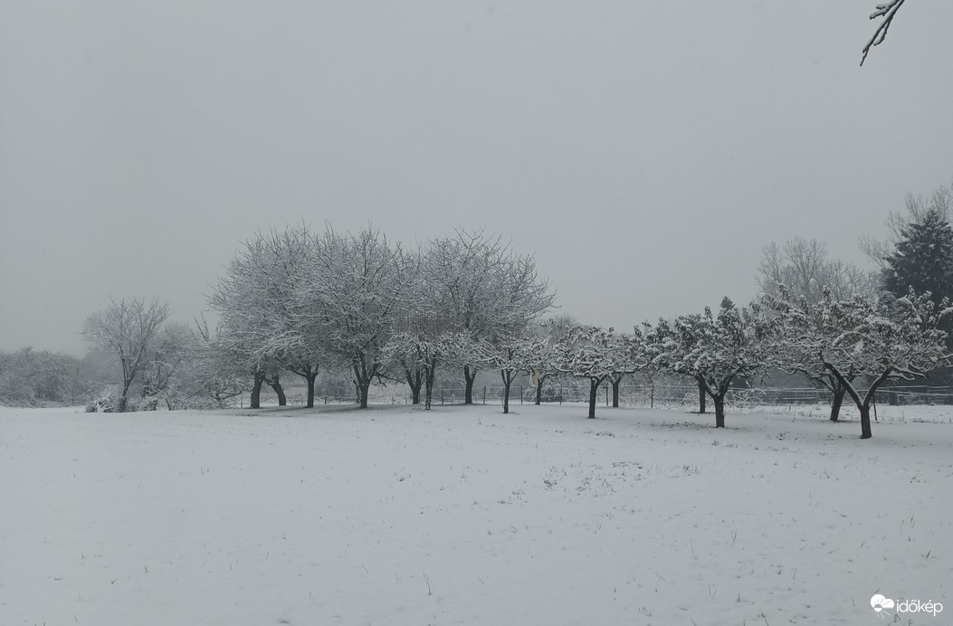 Snow is falling 