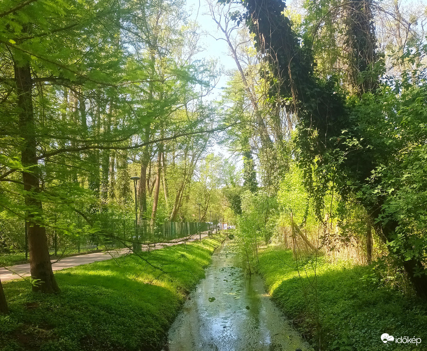 Lake Heviz tributary 