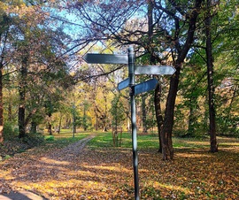 A sign of Autumn 