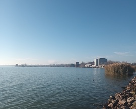 Along the bay